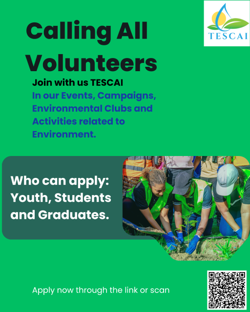Volunteer poster1